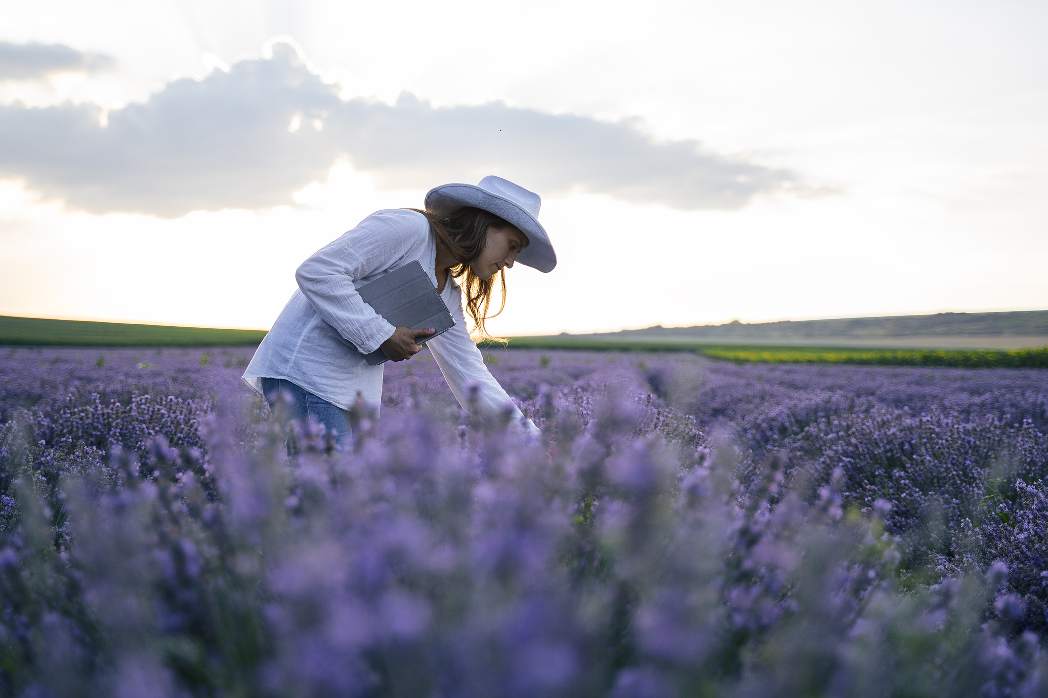 Woman in a field of lavendels