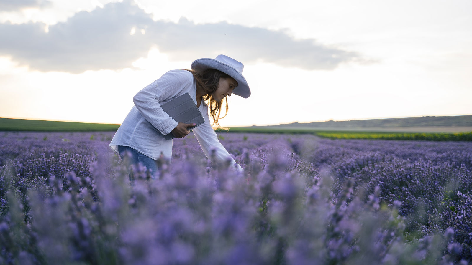 Woman in a lavendel field